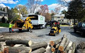 How Our Tree Care Process Works  in Inkerman, PA